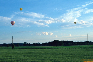 D25062 Ballons
