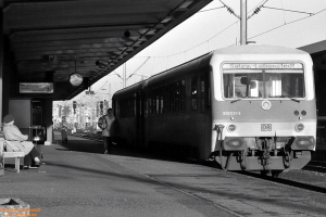 sw195_1 15 928 531